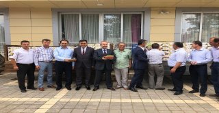 Bu Yeşil Fasulyenin Kilosu 90 Tlden Satıldı