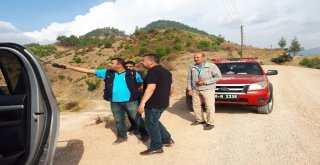 Kahramanmaraşta Orman Yangını