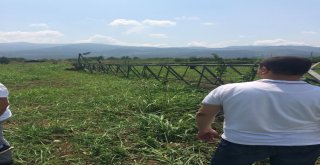 Hırsızların Dadandığı Elektrik Direkleri Tarlalara Devrildi