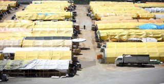 Yenimahallede Kurban İçin Hazırlıklar Başladı