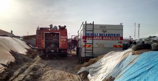 Sigara İzmariti 3 Bin Balya Samanı Kül Etti