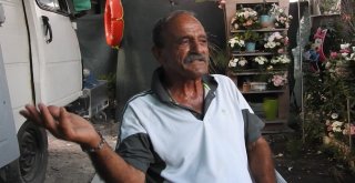 Çeşmeli Kaptan Yabani Tilki Osiyi Elleriyle Besliyor