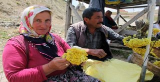 Giresun Yaylalarında Yetişen Bitkiler Yöre Halkının Geçim Kaynağı