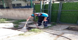 Büyükşehir Belediyesi Sivrisineklere Karşı Kent Genelinde Etkin Mücadele Veriyor