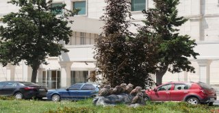 Türkiyenin İlk Ekolojik Bulvarı Büyükçekmecede