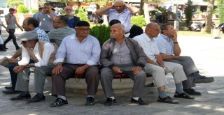 Sıcaklıklar Arttı, Vatandaşlar Parklarda Serinlemeye Çalıştı