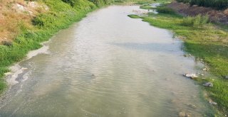 Kaplumbağalar İlçe Deprem Paniğine Yol Açtı