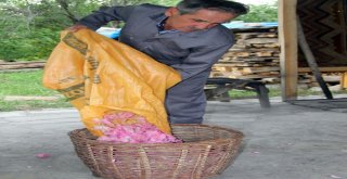 ‘Gülde Coğrafi İşaret Tamam, Sıra Unesco Dünya Mirası Listesinde