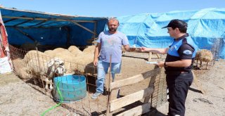 Yozgatta Polis Ekipleri Hayvan Pazarında Sahte Para Uyarısı Yaptı