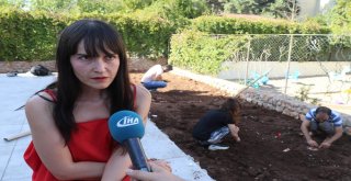 Diri Diri Toprağa Gömüldüler