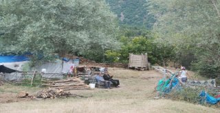 Evrimin Kaybıyla İlgili 3 Kişi Gözaltına Alındı