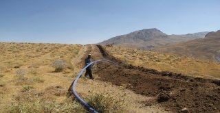 16 Mahalle Çifte Bayram
