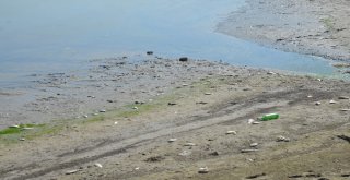 Denizlide Baraj Göletinde Toplu Balık Ölümleri