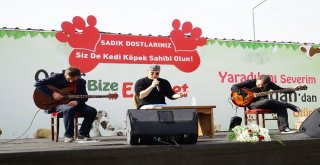Şarkıcı Elnur Huseynov, Kastamonuda Sokak Hayvanları Yararına Şarkı Söyledi