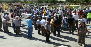 Odunpazarından Ücretsiz Kurban Kesim Hizmeti