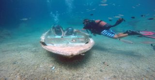 Turistlerin Yeni Gözdesi Su Altında Ekmekle Balık Beslemek