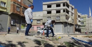 Gaziantepte Kanal Temizleyen İşçiler El Bombası Buldu