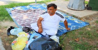 Genç Kız Mühendisin Hayalleri Kamyonetin Altında Kaldı