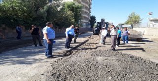 Başkan Vekili Işıktaş Parke Taşı Döşeme Çalışmalarını Denetledi