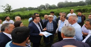 Dağın Tepesinde Kurulacak Olan Organize Sanayi Bölgesini Tanıttılar