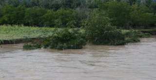 Ordunun Derelerini Yıktı Geçti