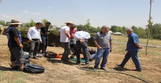 Mesire Alanında Çimlendirme Çalışması