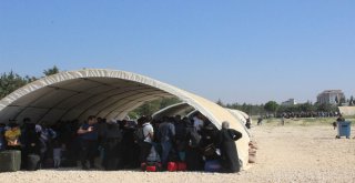 Suriyelilerin Vatan Özlemi İzdihama Dönüştü