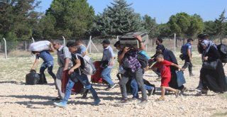 13 Bin Suriyeli Bayram İçin Gitti