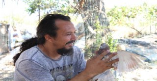 Mimarlıktan Hayvancılığa