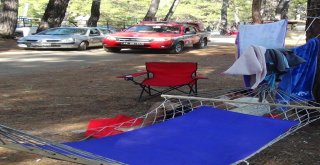 Gözler Ormanda, Ekipler Alarmda