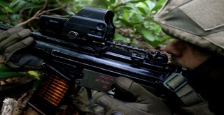 Jöperler İlk Defa Bu Kadar Yakından Görüntülendi