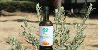 Antbirlik Zeytinyağı 0,5 Asit Oranıyla Kalitesini İspatladı