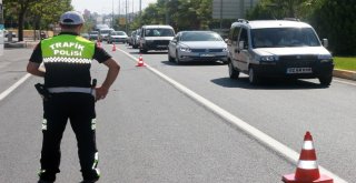 Minibüsten 5 Büyükbaş Kurbanlık Çıktı