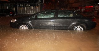 Yalova Sele Teslim Oldu
