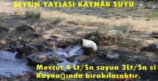 Orman Bölge Müdürlüğünden Zeytin Yaylası Açıklaması