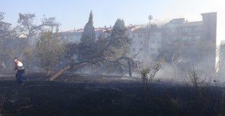 Çanakkalede Otluk Alanda Çıkan Yangın Evlere Zarar Verdi