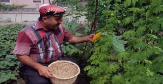 Muhtardan Örnek Bahçe