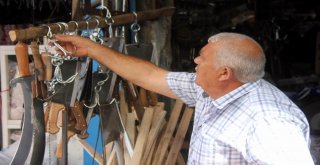 Harita Mühendisi, Dedesine Yardım İçin Bıçak Biliyor