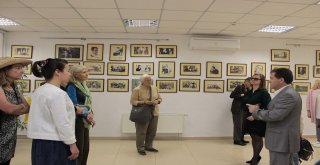 Amerikalı Heyet Kırımda İncelemelere Başladı