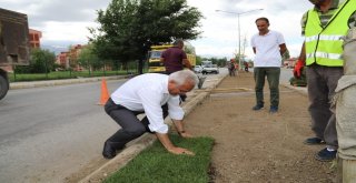 Başsoy: Türkiyenin En Yeşil Şehirlerinden Biri Olma Yolunda İlerliyoruz