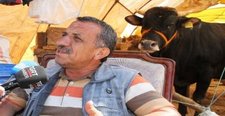 Kurban Satıcılarından Dolar Tepkisi