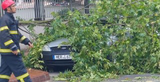 Fırtınada Devrilen Ağaç Dalı Otomobilin Üzerine Düştü