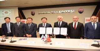 Hititler Ve Gaya Uygarlığının Dünyaya Tanıtılması İçin İşbirliği