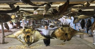 41 Tonluk Balık Müzesi Kışa Hazır