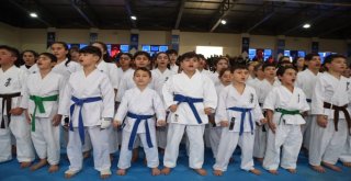 Kyokushin Karate Türkiye Şampiyonası Başladı