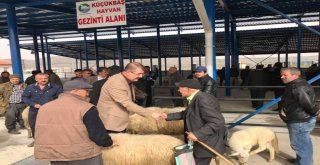 Çivril Hayvan Pazar Yeri Kurbana  Hazır