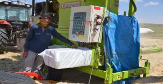 Muşlu Çiftçiden Abdye Dolar Tepkisi