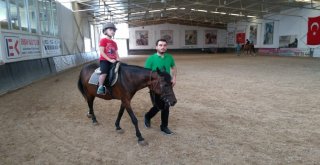 Eyüpsultanın Özel Çocuklarına Atla Terapi