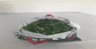 Elazığda 1,5 Kilo Esrar Ele Geçirildi