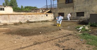 Gölbaşında Sineklerle Mücadeleye Devam Ediliyor